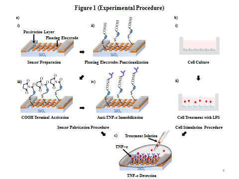 Floating electrode를 갖는 새로운 나노FET소자의 제작(a), 세포 배양 및 LPS 처리(b) 및 TNF-a의 측정 과정(c)