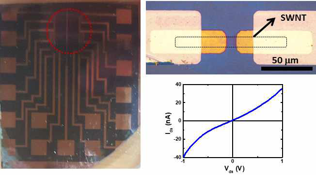 16채널 어레이 CNT-FET 집적화 소자(좌)와 각 채널의 광학 현미경 이미지 및 소자 기본 전류-전압 특성(우)
