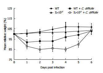 IL-10 유전자 결핍 마우스에서 C. difficile 감염에 의한 IFN-γ 농도변화