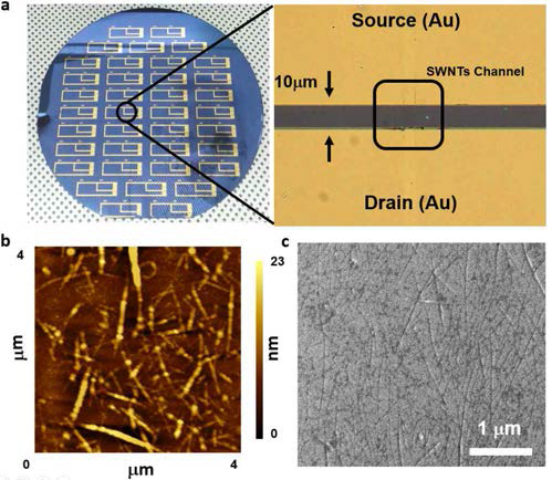 (a) 4인치 웨이퍼에 구현된 CNT-FET 소자와 CNT 채널을 확대한 (b)광학현미경, (c)SEM, (d) AFM 이미지