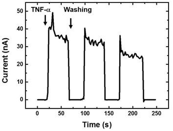 PBS 완충용액과 물을 이용한 세척으로 TNF-α가 결합된 소자의 재생 가능성 실험. TNF-α는 4 ng/mL의 농도로 주입됨