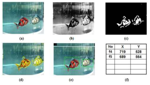 로봇 물고기에 대한 2 축 위치 검출의 실험 결과 (a) 비디오 파일, (b) RGB to Gray, (c) 임계 값 이미지 (d) 옵티컬 플로우, (e) 객체 추적 알고리즘, (f) 결과 표시