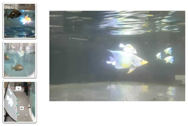 3D 물고기 영상과 물고기 로봇의 수중세계 구현 결과물