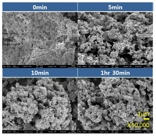 SEM images of reduced CeO2-NiO mixed oxide pellet with various electrolysis time