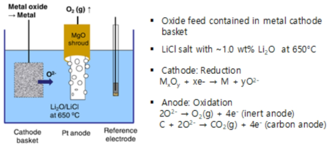 Conceptual diagram of electrochemical reduction process in molten Li2O/LiCl salt