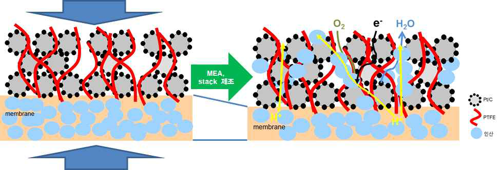 PTFE (혹은 PVDF)를 이용한 전극에 프로톤 전도도르 부여하는 방법