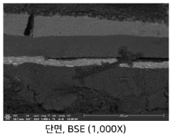 기존 10-layered 구조의 MEA에 대한 BSE에서의 SEM 사진