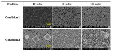 표 4의 condition 1과 condition 2 방법으로 pulse 수에 따라 다르게 전기 도금한 Pt 단일 촉매의 FE-SEM 이미지