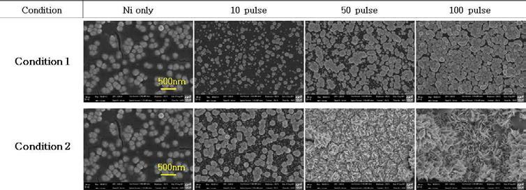 -0.8V (vs. Ag/AgCl in 3M KCl)에서 60초 동안 도금한 Ni 단일 촉매 및 표 4의 condition 1과 condition 2 방법으로 pulse 수에 따라 다르게 전기 도금한 Pt on Ni 합금 촉매의 FE-SEM 이미지