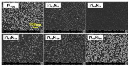 Ni 전구체의 농도에 따라 -0.6V (vs. Ag/AgCl in 3M KCl)에서 300초 동안 도금한 Pt 단일 촉매 및 PtNi 합금 촉매의 FE-SEM 이미지