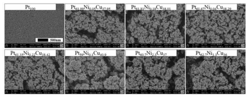 Ni 전구체의 농도에 따라 -1.2V (vs. SCE)에서 60초 동안 도금한 Pt 단일 촉매 및 PtNiCu 합금 촉매의 FE-SEM 이미지