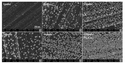 PtCu의 도금 pulse 수에 따른 FE-SEM 이미지(전처리 전)