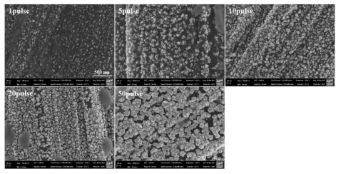 PtCu의 도금 pulse 수에 따른 FE-SEM 이미지(전처리 후)