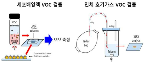 VOC 측정용 SERS 시스템