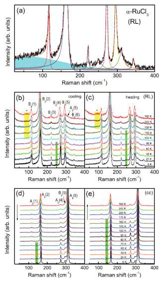 α-RuCl3의 phonon Raman spectra 데이터