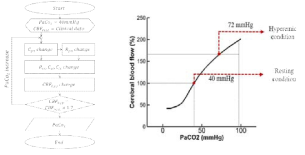 뇌혈관 최대충혈 상태를 구현할 수 있도록 PaCO2 값을 구하는 계산과정 순서도(좌측). 그리고 계산된 PaCO2 값을 적용할 경우 변화되는 총 뇌혈류량(우측)