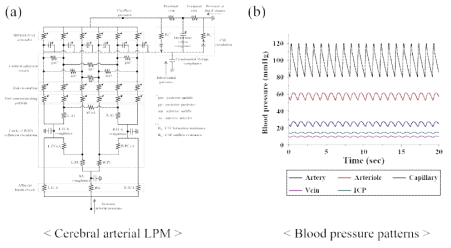 동맥계, 뇌척수액, 모세혈관계를 구성하는 LPM 다이어그램(좌측), 그리고 이를 통해 계산된 각 혈관계에서의 혈압패턴(우측)
