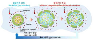 외부 온도 상승에 따른 항상성 유지 기작