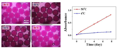 온도에 따른 캡슐의 가역적 변화(좌), 시간에 따른 흡광도 변화(우)