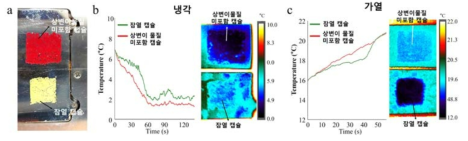 (a) 한 층으로 코팅된 상변이 물질을 포함하지 않은 캡슐(적색) 및 잠열 캡슐(녹색) (b) 냉각 및 (c) 가열에 따른 샘플들의 적외선 카메라를 이용한 온도 변화 분석