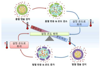 스마트 마이크로캡슐 기반 온도 항상성 달성 원리