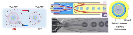 LCST를 갖는 캡슐막의 온도에 따른 투과도 변화 (좌), 물/오일/물/오일 조성의 삼중액적 형성을 위한 미세유체소자 (우)