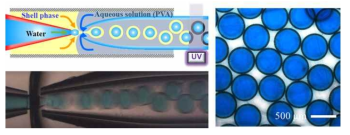 물/오일/물 이중액적 형성을 위한 미세유체시스템(좌), 고분자막에 상변이 물질을 포함하고 있는 발열 캡슐(우)
