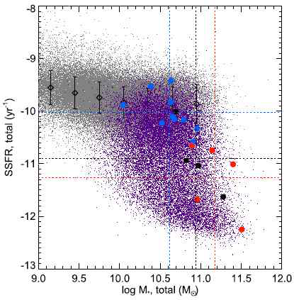 Distributions of specific star formation rate and stellar mass for star-forming galaxies (gray) and AGN-host galaxies (purple). Blue, red, and black dots represent the different types of AGNs with SF-type disk, AGN-type disk, and no/ambiguous rotation, respectively