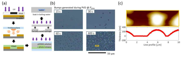 하이드로젤 기반 유체 이송 시스템 제작 방법. (a) 이중 몰딩 기법. (b) 증착시간에 따른 기포형성핵 크기. (c) 기포 형성핵 AFM 이미지