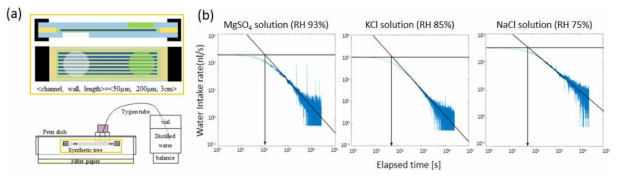 상대 습도를 제어한 인공 식물의 안정성 실험. (a) 안정성 실험의 개략도. (b) 이온화합물에 따른 인공 식물의 물 흡수량