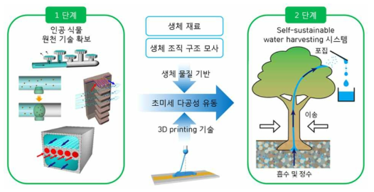 2단계에 걸친 지속 가능한 생체 모사 기반 물 수확 시스템 개발 개요