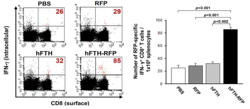 hFTH-RFP proteinticle과 대조군들의 면역유도 효능을 비교 검증한 결과