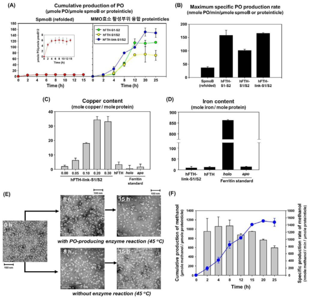 pMMO 효소 활성부위와 이를 융합시킨 proteinticle의 효소 활성 검증 및 반응 시간에 따른 PO 생성량(A) 및 최대 반응 속도(B), 다양한 CuSO4 농도 조건에서 합성된 pMMO 효소 활성부위 융합 proteinticle의 구리(C) 및 철(D) 함유량과 45 ℃ 온도 조건에서 시간에 따른 안정성을 검증한 TEM image(E), 최적의 pMMO 효소 활성부위 융합 proteinticle의 methane → methanol 전환 활성 검증 및 반응 시간에 따른 methanol의 생성량 및 반응 속도(F)