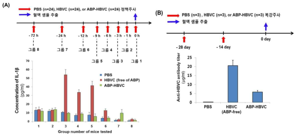 알부민 결합유도 펩타이드가 표출된 HBVC proteinticle HBVC 및 PBS를 주사한 쥐의 혈액 내 사이토카 양(A) 및 HBVC에 대한 항체 양(B) 측정을 통한 면역원성 비교 결과