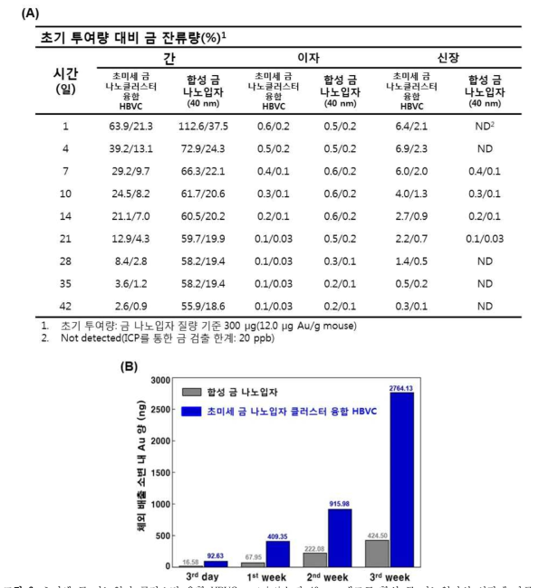 초미세 금 나노입자 클러스터 융합 HBVC proteinticle과 40 nm 대조군 합성 금 나노입자의 시간에 따른 체내 주요 장기 축적량 (A) 및 소변 내 검출량 분석 결과(B)