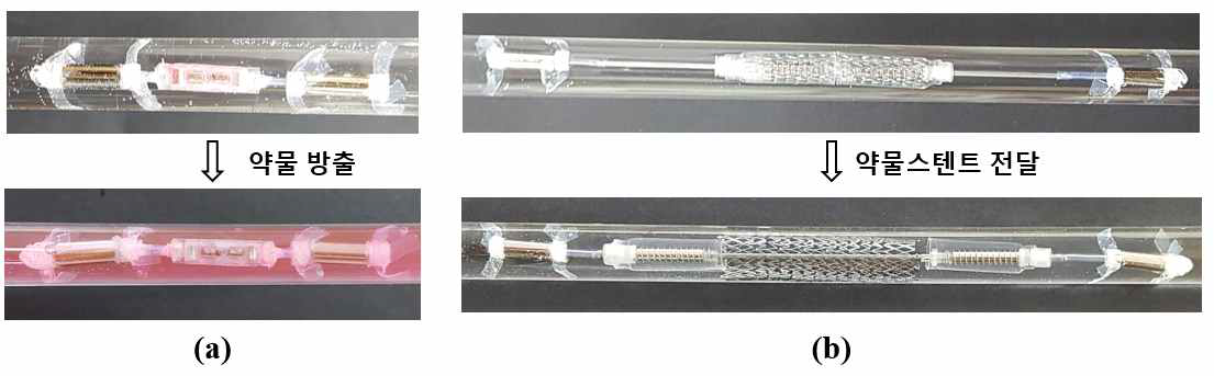 (a) 드릴링 및 약물전달을 위한 모듈형 마이크로로봇 (b) 드릴링 및 약물스텐트 전달을 위한 모듈형 마이크로로봇(약물스텐트: EluviaTM, Boston Scientific社)