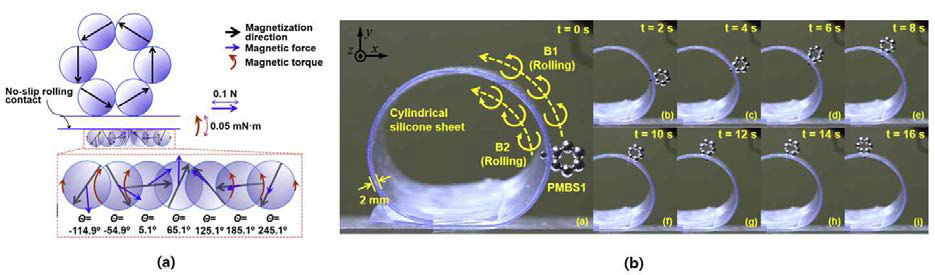 (a) 평형점 기준 체인형 로봇을 좌, 우로 60도 회전시켰을 때 작용하는 자기력 및 자기토크 시뮬레이션 (b) 계산된 결과를 이용하여 면 위에서 회전자기장으로 로봇을 실시간 구동하는 모습