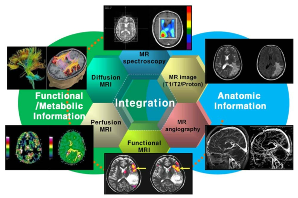 MRI 해상도 및 생물학적/기능적 대사영상을 활용하여 임상용 고자장 및 초고자장 MRI 시스템 및 다양한 응용기술이 현재 개발중임