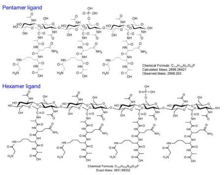 본 연구진이 결정한 γδ T 세포 활성화를 유도하는 ligand 물질의 구조식 및 그 분자량