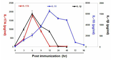 WTA-PGN 유도체 주사후 시간별 IL-17A, IL-1β 및 IL-10 생성량 조사 결과