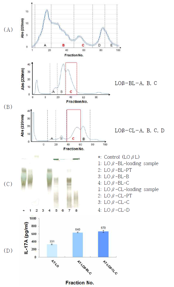 HiPrep-Q column에서의 용출 패턴 (A), β-Lytic enzyme 처리한 AT-LO에 lysozyme 처리 후, HiTrep-Q column에서의 용출 패턴 (B), gel mobility (C) 및 IL-17A 생산량 (D)