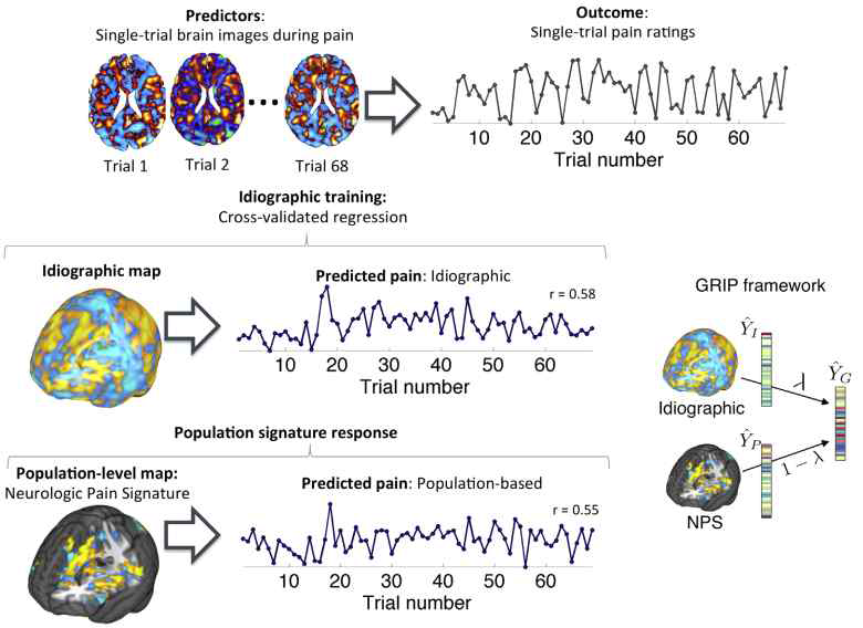 기능적 뇌영상 및 통증 data를 활용한 group-regularized individual prediction의 체계 도식화 (Lindquist et al., 2017)