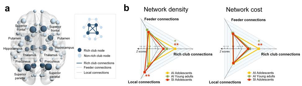 각 군의 구조적 네트워크 특성 차이를 분석한 결과 도식. 뇌 내 rich club node와 non-rich club node 도식(a). 각 군별 network connection 정도의 z score normalization 값 도식(b)