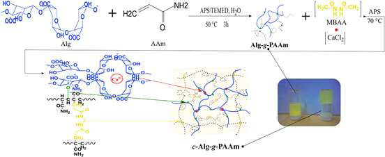 Dual-Network Alginate-Polyacrylamide 바인더 제조 방법