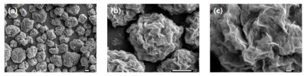 spray drying 의한 Si/GO/PAA 혼합체의 SEM 이미지