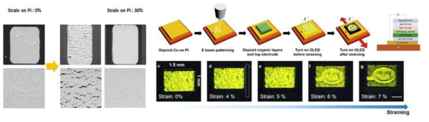 50% 이상 변형 후에도 크랙 발생이 없는 구리 박막 및 이를 활용한 인장가능 OLED