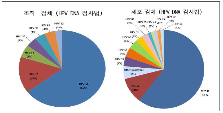 HPV DNA에서 자궁경부 조직검체와 자궁경부세포검체의 유전형 비교