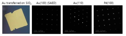 전사된 단결정 박막 사진 및 SAED 패턴