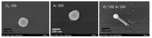 Dewetted particle 모양에 미치는 annealing ambient의 효과