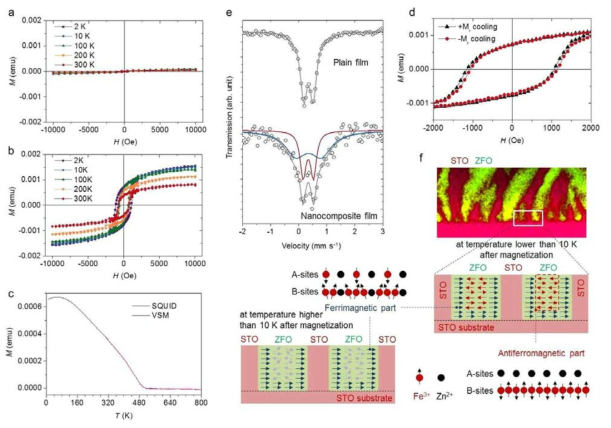 초전도 양자 간섭 장치 (SQUID)로 측정한 온도별 자기 히스테리시스 (M-H) 곡선: (a) 순수 ZFO 박막. (b) ZFO-STO 복합체 박막. (c) SQUID와 vibrating sample magnetometer으로 측정한 ZFO-STO 복합체 박막의 온도에 따른 자화 (M-T) 곡선. (d) +Mr 또는 –Mr 2 K 냉각 후 SQUID로 측정된 ZFO-STO 복합체 박막의 M-H 곡선. (e) 상온에서의 순수 ZFO 박막과 ZFO-STO 복합체 박막의 모스바우어 스펙트라. (f) 패리자성 증가 및 교환 바이어스 도출 메커니즘 설명 모식도